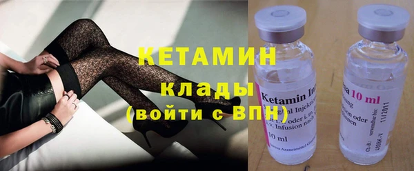 дживик Няндома