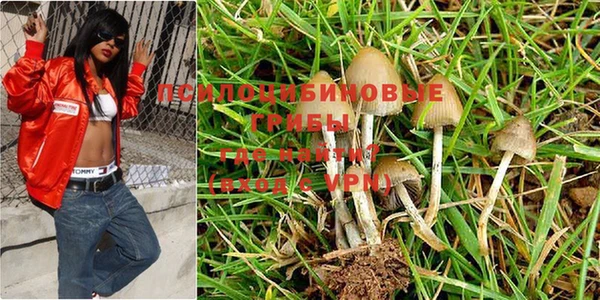 PSILOCYBIN Абдулино