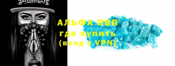 дживик Няндома