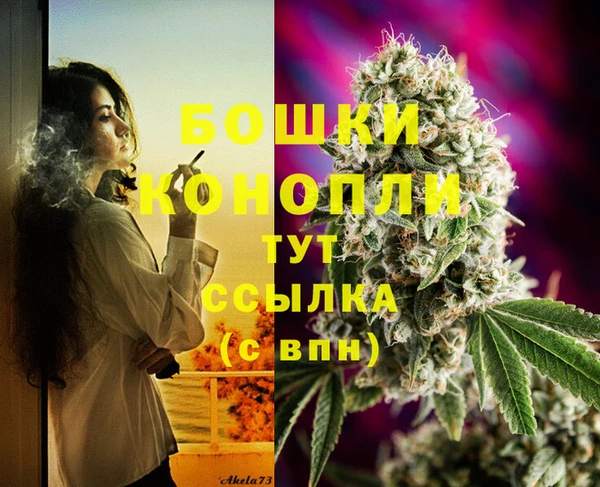 спайс Болотное