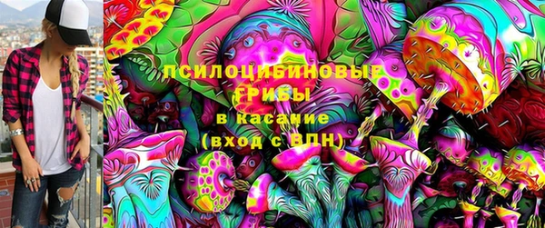 дживик Абинск