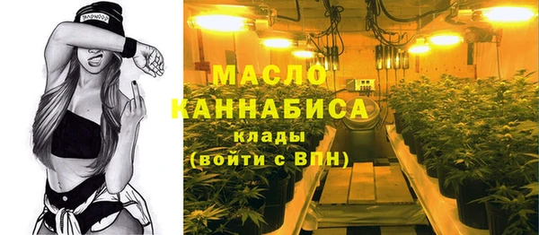 дживик Няндома