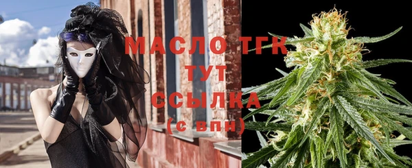 индика Нягань