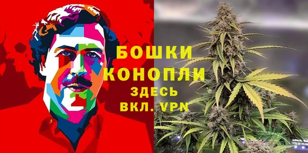 дживик Няндома