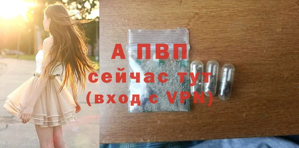 дживик Абинск