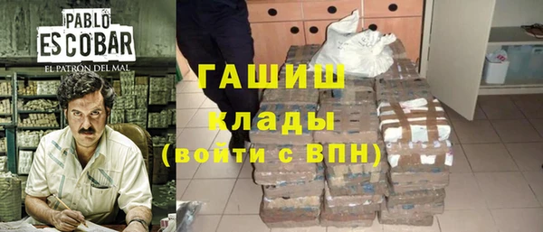 индика Нягань