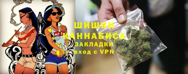 индика Нягань