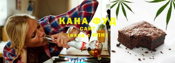 дживик Няндома