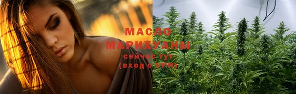индика Нягань