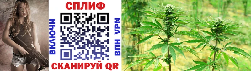 маркетплейс состав  Тайга  Канабис гибрид 